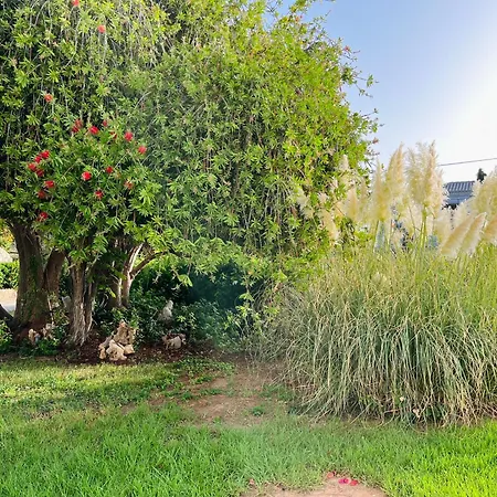 Alexandros Country house *