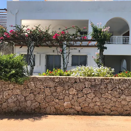 Alexandros Gospodarstwo wiejskie Porto Heli