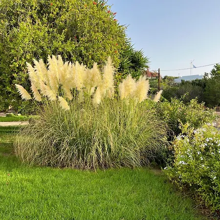 Casa di campagna Alexandros Porto Heli