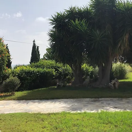 Alexandros ポルト・ヘリ