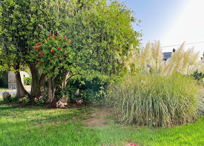 Alexandros Casa de Campo *