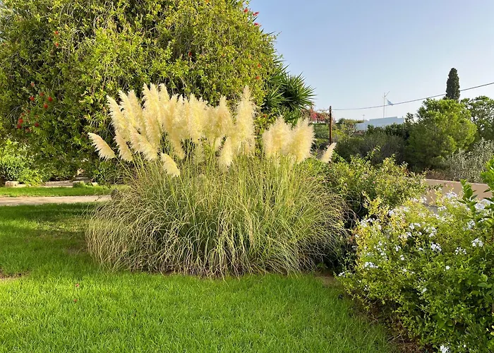 Casa de Campo Alexandros Porto Heli